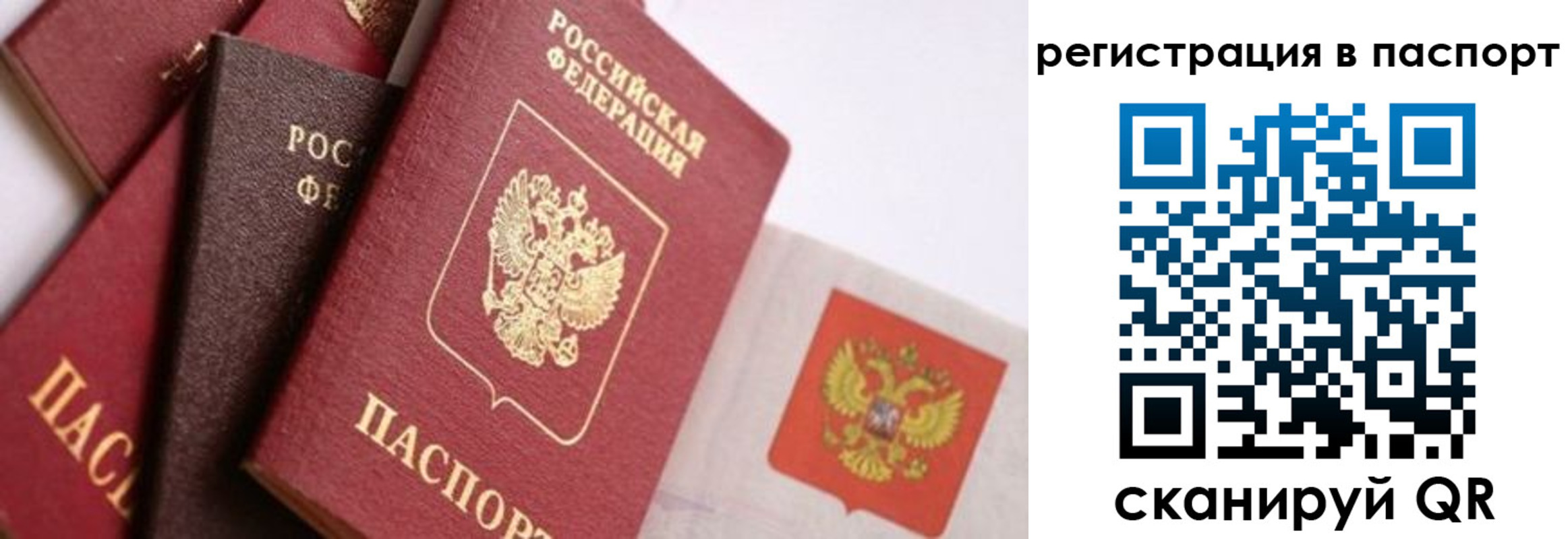 прописка в квартире в Хотьково